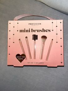 5 Piece Mini Makeup Brush Set