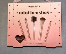 5 Piece Mini Makeup Brush Set