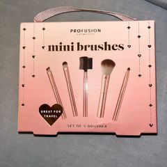 5 Piece Mini Makeup Brush Set