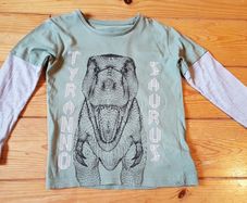 Age 5 Donosaur Top