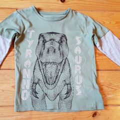 Age 5 Donosaur Top