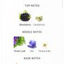 New Release Santal Paname Jpg 100ml Image 5