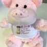 Personalised Photo Pippa Pig Crazy Critter cuddly soft toy with your photo and text Image 2