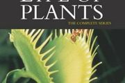 The Private Life Of Plants Dvd Bbc Tv Series David Attenborough