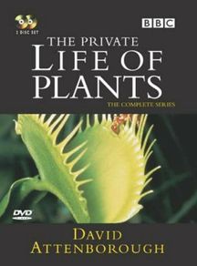 The Private Life Of Plants Dvd Bbc Tv Series David Attenborough