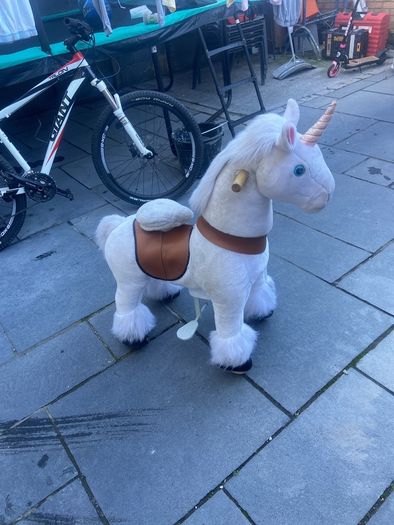girls ride along pony