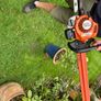 hedge trim Image 2