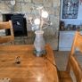 lamp Image 4