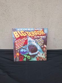 vinyl lp big terror possible to post