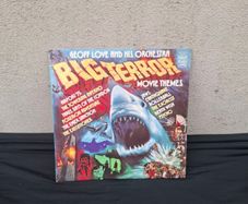 vinyl lp big terror possible to post