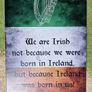 Irish Tin Metal Sign (12" x 8") Image 2