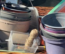 plant pots