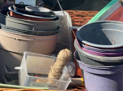 plant pots