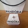 Pandora Pink Sparkling Row Clip Charm Image 5