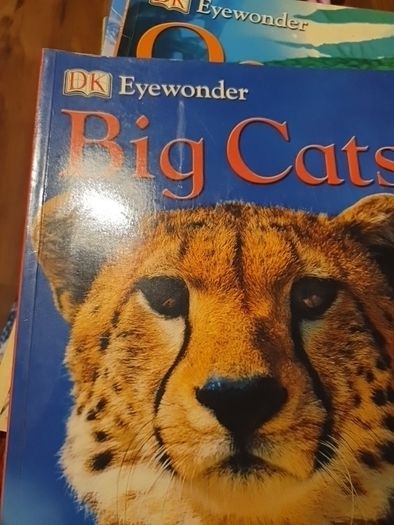Big Cats Eyewonder Enter A World Of Discovery