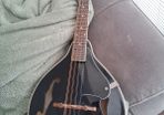 Mandolin