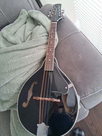 Mandolin