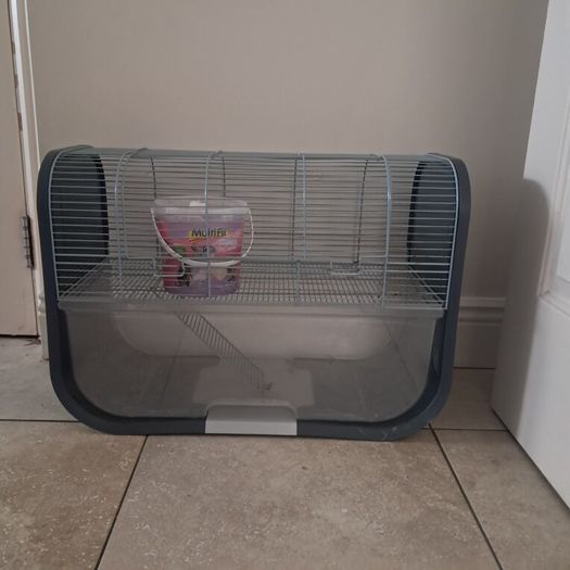 Gerbil Cage