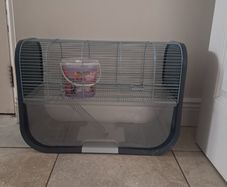Gerbil Cage