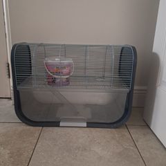 Gerbil Cage