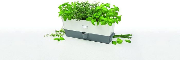 Cole & Mason Self-Watering Triple Potted Herb Keeper H105349