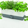 Cole & Mason Self-Watering Triple Potted Herb Keeper H105349 Image 5