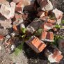 Free rubble Image 2
