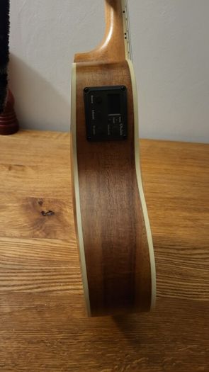 Freshman Electro Ukulele