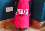 Everlast 2ft Boxing punch bag