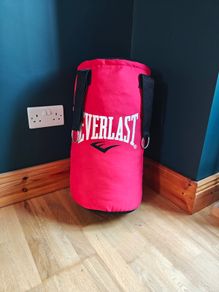 Everlast 2ft Boxing punch bag