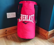 Everlast 2ft Boxing punch bag