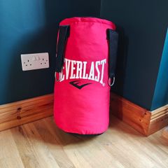 Everlast 2ft Boxing punch bag