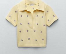 Zara crop top