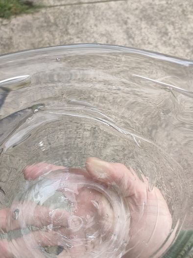 Hand blown glass swan
