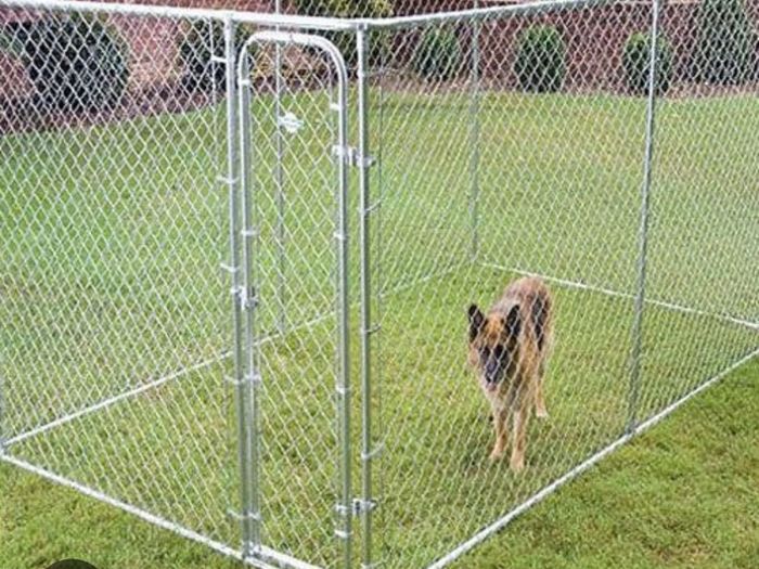 Dog run Still Available!!