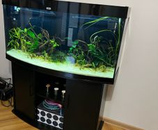 Fish tank