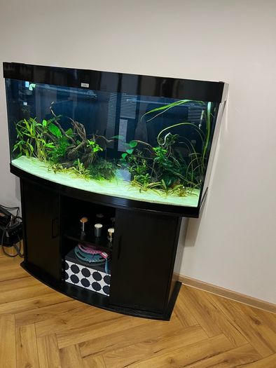 Fish tank