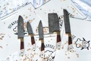 Set Knives 5 pieces Handmade Damascus