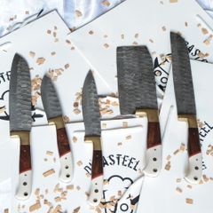 Set Knives 5 pieces Handmade Damascus