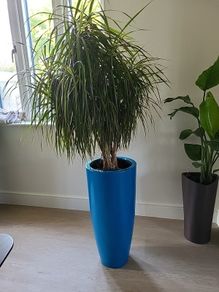 Interior planter