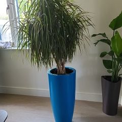 Interior planter