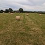 Excellent Quality Hay Bales Image 3