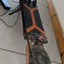 G2 max scooter good condition brand new rear tire lost keys other than that very good scooter Image 2