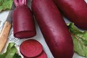 (B) Beetroot seeds Alexis 5g (125777)