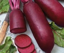 (B) Beetroot seeds Alexis 5g (125777)