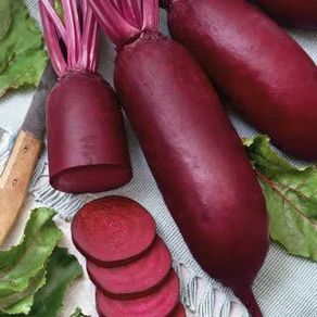 (B) Beetroot seeds Alexis 5g (125777)