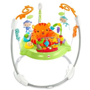Fisher Price Roarin Rainforest Jumperoo