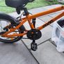 Frog 48 Kids Bike Image 5
