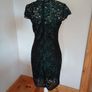 BNWT Black and Green Lace Dress Image 4
