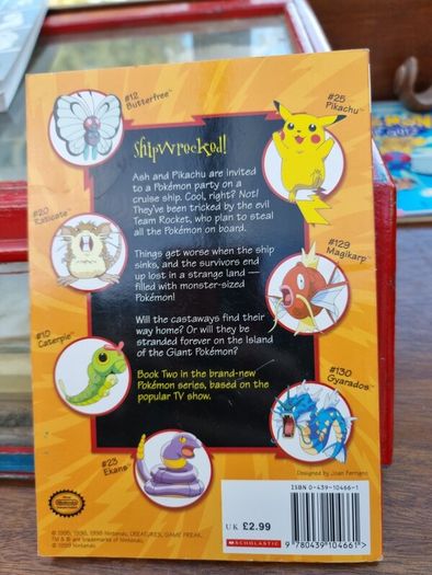 Pokemon book bundle